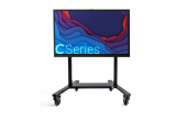 &nbsp;