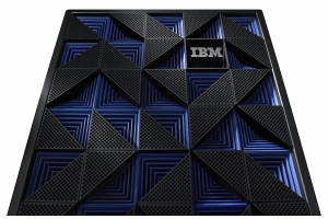 IBM Fabric Mgr for Flex Chassis w/3 Yr S&S switchcomponent
