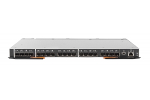 IBM Flex System FC5022 16Gb ISL/Trunking Upgrade switchcomponent
