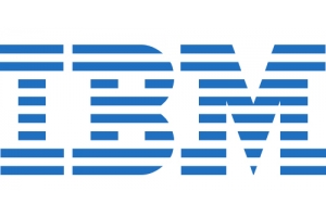 IBM Windows Remote Desktop Services CAL 2012 (1 User) - Multi 1 licentie(s) Meertalig