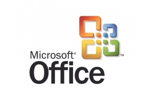 Microsoft Office Excel, GOV, 1U, 1Y, AP, OLV-D, MLNG, Int Spreadsheet 1 licentie(s) Meertalig
