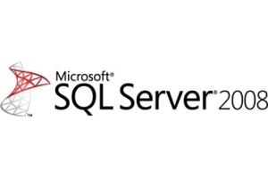 Microsoft SQL Server 2008 Standard, 1Y, CAL Database