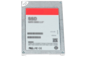 Dell Wyse 400-ALZJ internal solid state drive 2.5" 400 GB SAS MLC