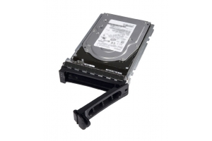 DELL 400-ATJJ interne harde schijf 3.5" 1 TB SATA III