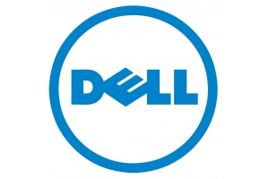DELL PERC H755 RAID controller PCI Express