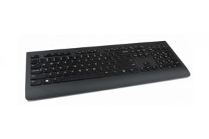 Lenovo 4X30H56841 toetsenbord RF Draadloos QWERTY Amerikaans Engels Zwart