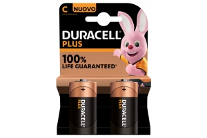 Duracell Plus 100 C Wegwerpbatterij Alkaline