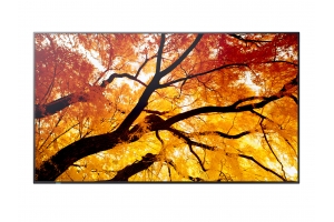 Sharp MultiSync M432 Digitale signage flatscreen 108 cm (42.5") LCD 550 cd/m² 4K Ultra HD Zwart