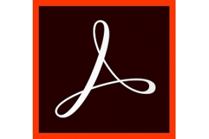 Adobe Pro 2017 Desktop publishing 1 licentie(s) Engels