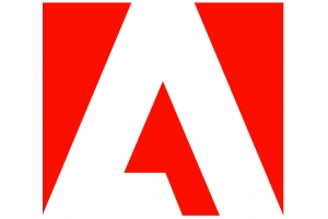 Adobe XD Overheid (GOV) Hernieuwing Meertalig 12 maand(en)