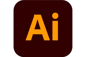 Adobe Illustrator Pro for teams Grafische Editor Overheid (GOV) 1 licentie(s) 1 jaar