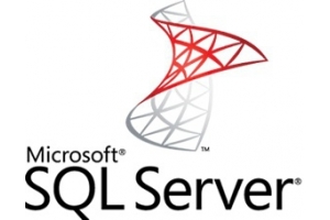 Microsoft SQL Server Enterprise, x32, WIN, GOV, OLV-D, 1U, 1Y, MLNG, Int Database 1 licentie(s) 1 jaar