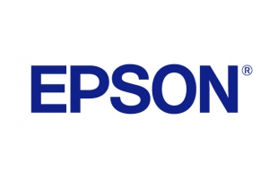 Epson DM-D30 (111): Customer Display for TM-m30 Black