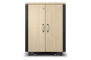 APC NetShelter CX AR4017IA - 17U, Geluiddempend en geventileerd 19 inch server rack