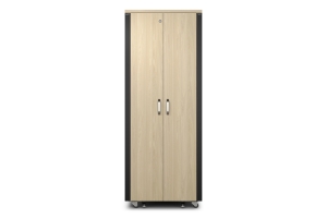 APC NetShelter CX AR4038IA - 38U, Geluiddempend en geventileerd 19 inch server rack
