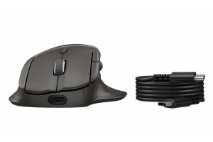 HP Ultra-Fast-Scroll Wireless Mouse 785M