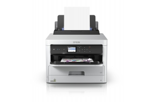 Epson DURABrite Pro