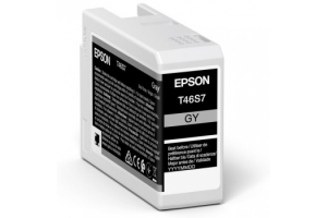 Epson UltraChrome Pro inktcartridge 1 stuk(s) Origineel Grijs