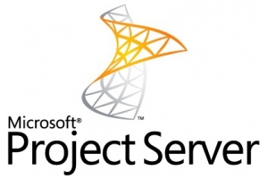 Microsoft Project Server, DCAL, OLV-D, 1U, 1Y, GOV, MLNG Projectmanagement 1 licentie(s)