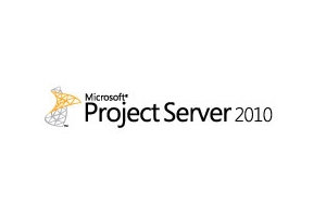 Microsoft Project Server 2010, MOLP, U-CAL/SA, GOV, Sngl Projectmanagement 1 licentie(s)