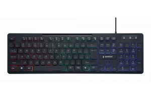 Gembird KB-UML-02 toetsenbord USB Amerikaans Engels Zwart