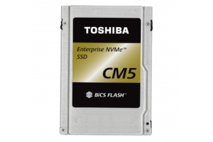 Toshiba CD5 2.5" 960 GB PCI Express 3.0 TLC NVMe