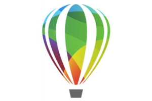 Corel LCCDGS2025BPL11 softwarelicentie & -uitbreiding 1 licentie(s) Licentie 1 jaar 12 maand(en)