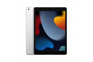 Apple iPad 4G LTE 64 GB 25,9 cm (10.2") Wi-Fi 5 (802.11ac) iPadOS 15 Zilver