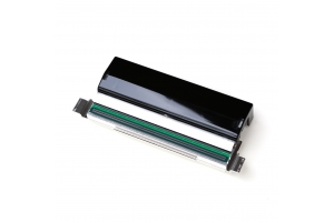 Zebra P1058930-009 printkop Thermo transfer