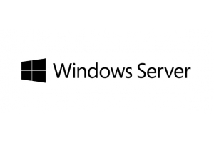 HP Windows Server 2019 Standard