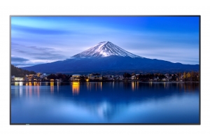 Sharp MultiSync P656 Kiosk-ontwerp 163,8 cm (64.5") LCD 700 cd/m² 4K Ultra HD Zwart Type processor