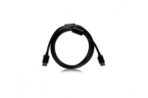 EIZO PP200-K 2 m DisplayPort Zwart