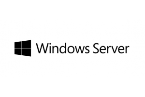 Fujitsu Windows Server 2019 Standard 1 licentie(s)