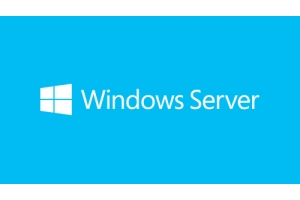 Microsoft Windows Server 2019 Client Access License (CAL) 5 licentie(s)