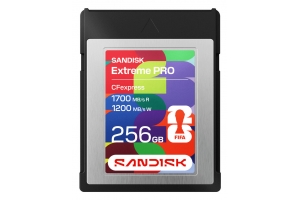 SanDisk SDCFE-256G-GF4NN flashgeheugen 256 GB CFexpress Type B