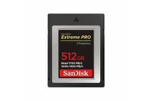 SanDisk SDCFE-512G-GN4NN flashgeheugen 512 GB CFexpress